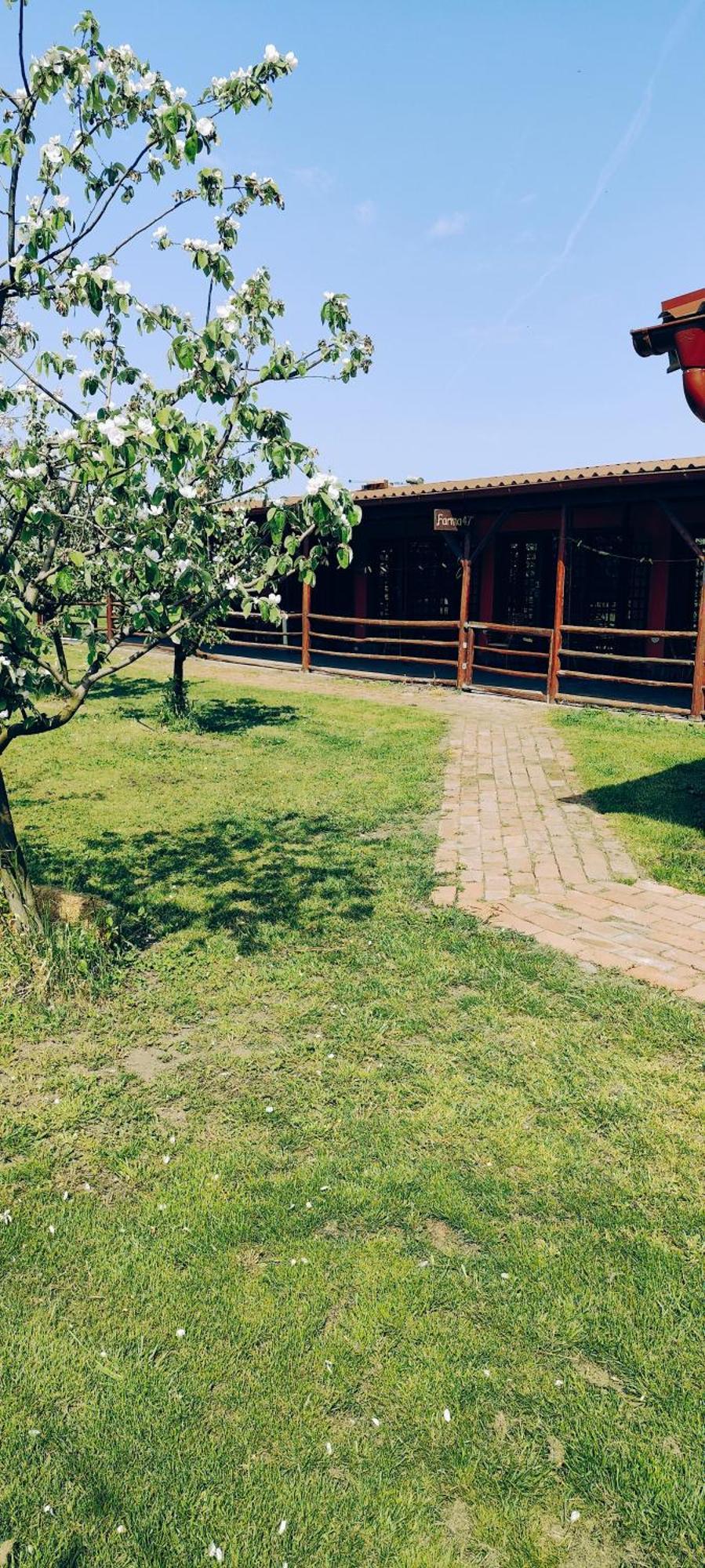Salas Farma 47-Miris Dunja Cenej Exterior photo