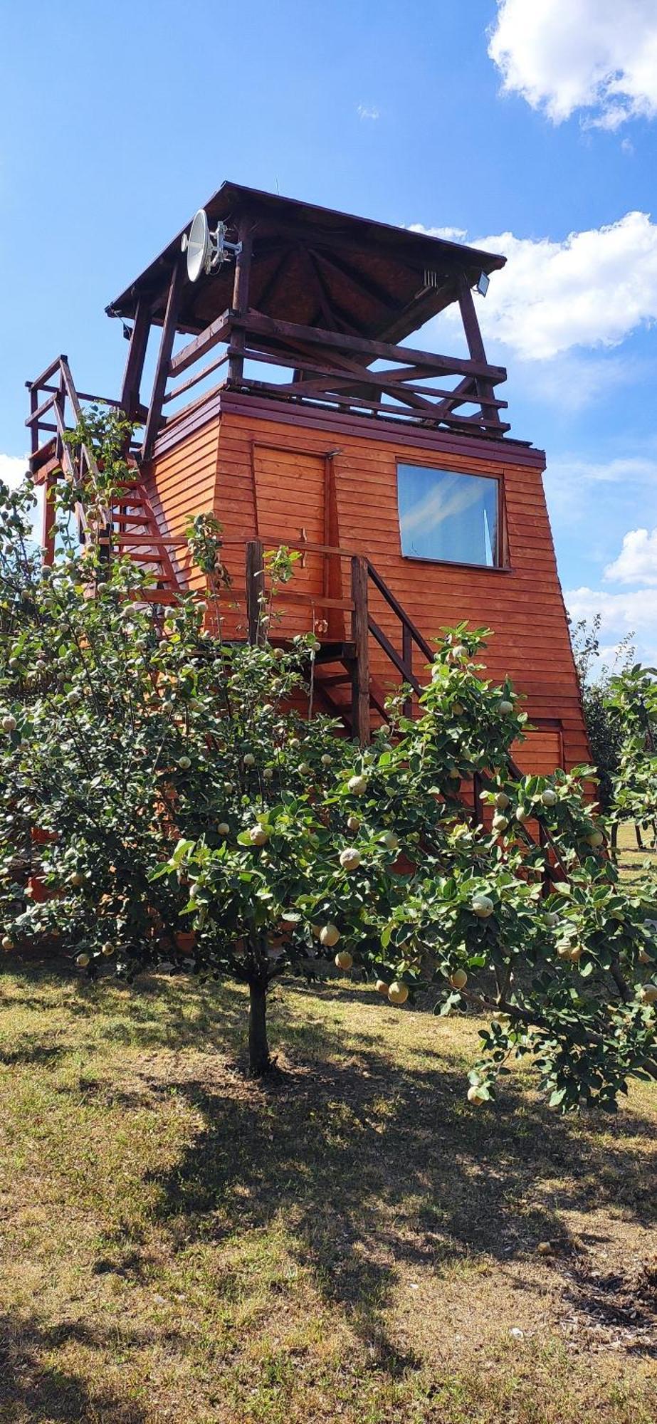Salas Farma 47-Miris Dunja Cenej Exterior photo